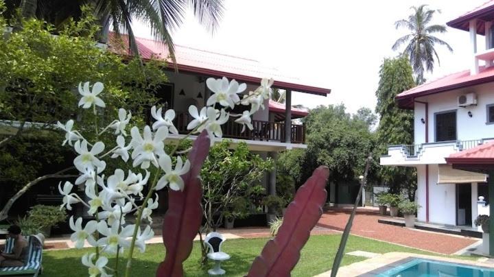 Canal Villa Bentota Kültér fotó